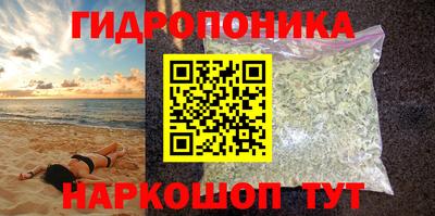 a pvp Можга